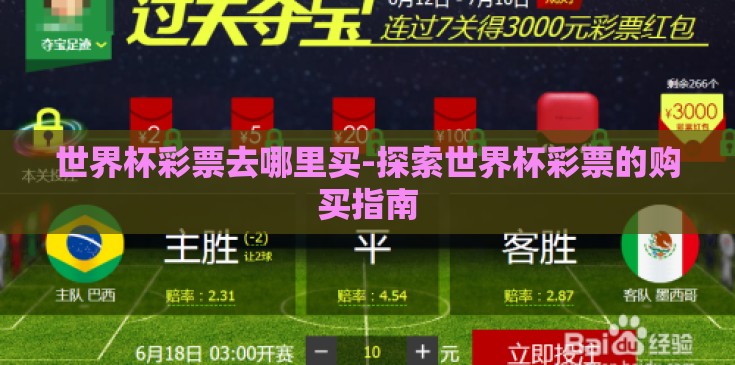 世界杯彩票去哪里买-探索世界杯彩票的购买指南