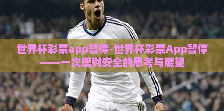 世界杯彩票app暂停-世界杯彩票App暂停——一次理财安全的思考与展望