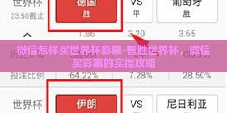 微信怎样买世界杯彩票-智胜世界杯，微信买彩票的实操攻略