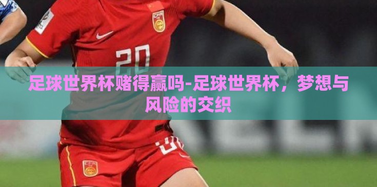 足球世界杯赌得赢吗-足球世界杯，梦想与风险的交织