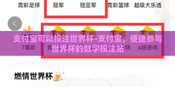 支付宝可以投注世界杯-支付宝，便捷参与世界杯的数字投注站