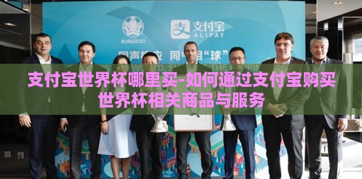 支付宝世界杯哪里买-如何通过支付宝购买世界杯相关商品与服务