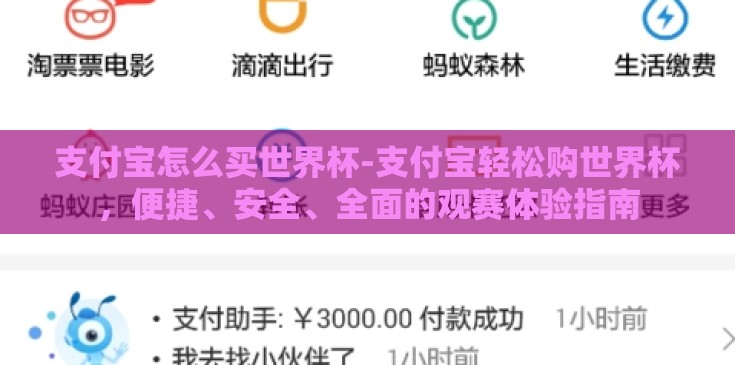 支付宝怎么买世界杯-支付宝轻松购世界杯，便捷、安全、全面的观赛体验指南