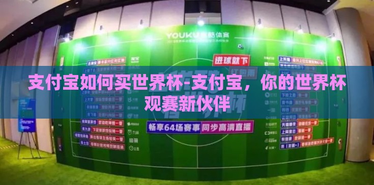 支付宝如何买世界杯-支付宝，你的世界杯观赛新伙伴