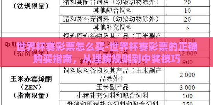 世界杯赛彩票怎么买-世界杯赛彩票的正确购买指南，从理解规则到中奖技巧