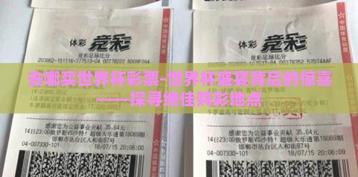 去哪买世界杯彩票-世界杯盛宴背后的惊喜——探寻绝佳购彩地点