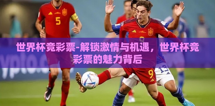 世界杯竞彩票-解锁激情与机遇，世界杯竞彩票的魅力背后