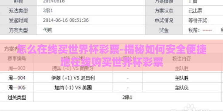 怎么在线买世界杯彩票-揭秘如何安全便捷地在线购买世界杯彩票