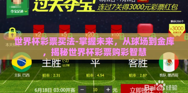 世界杯彩票买法-掌握未来，从球场到金库，揭秘世界杯彩票购彩智慧