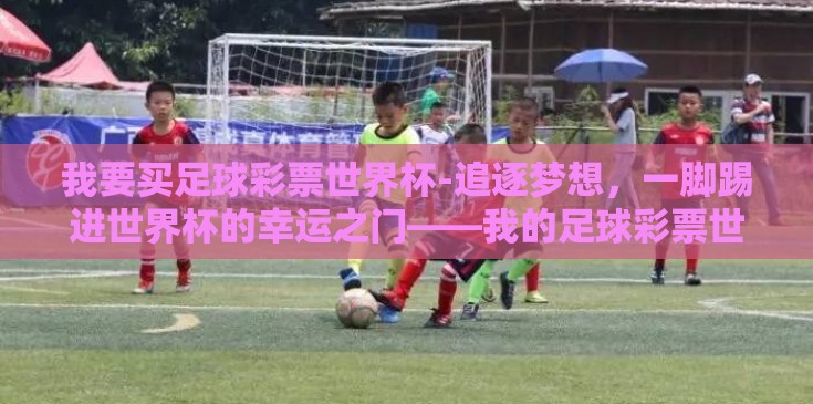 我要买足球彩票世界杯-追逐梦想，一脚踢进世界杯的幸运之门——我的足球彩票世界杯之旅