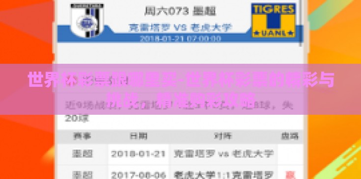 世界杯彩票跟哪里买-世界杯彩票的精彩与挑战，精准购彩攻略