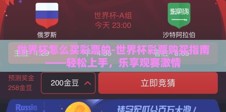 世界杯怎么买彩票的-世界杯彩票购买指南——轻松上手，乐享观赛激情