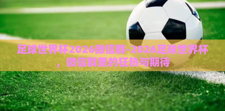 足球世界杯2026微信群-2026足球世界杯，微信群里的狂热与期待