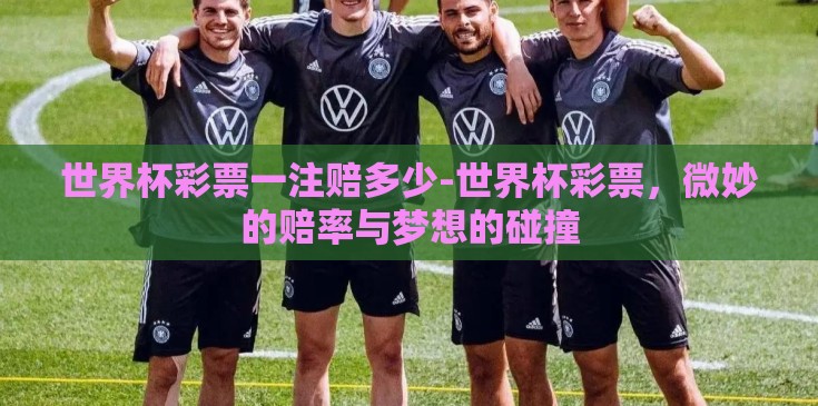 世界杯彩票一注赔多少-世界杯彩票，微妙的赔率与梦想的碰撞