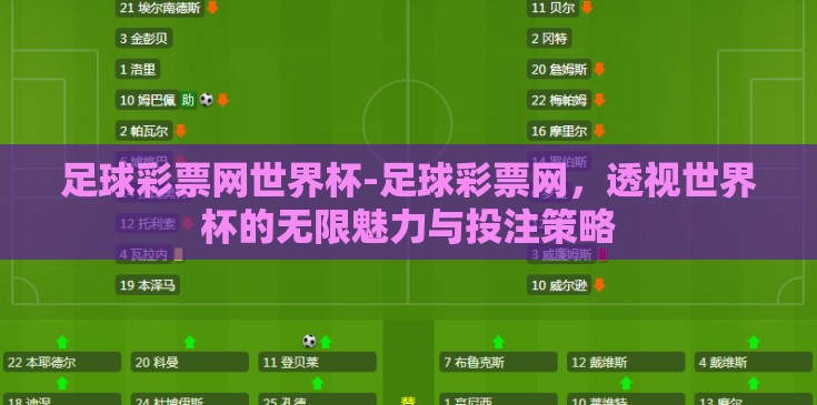 足球彩票网世界杯-足球彩票网，透视世界杯的无限魅力与投注策略