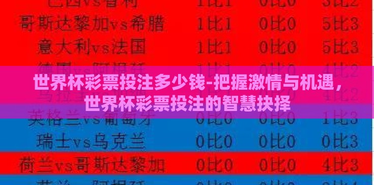 世界杯彩票投注多少钱-把握激情与机遇，世界杯彩票投注的智慧抉择