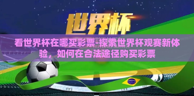看世界杯在哪买彩票-探索世界杯观赛新体验，如何在合法途径购买彩票