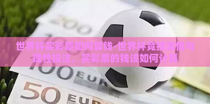 世界杯买彩票如何算钱-世界杯竞技激情与理性投注，买彩票的钱该如何计算