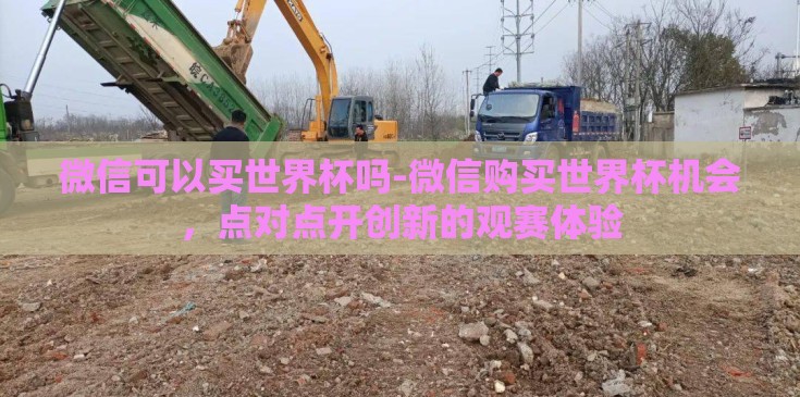 微信可以买世界杯吗-微信购买世界杯机会，点对点开创新的观赛体验