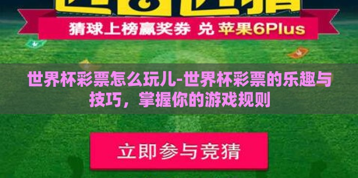 世界杯彩票怎么玩儿-世界杯彩票的乐趣与技巧，掌握你的游戏规则