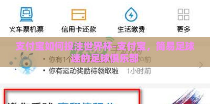 支付宝如何投注世界杯-支付宝，简易足球迷的足球俱乐部