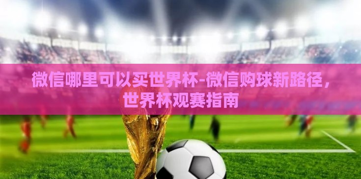 微信哪里可以买世界杯-微信购球新路径,世界杯观赛指南 微信哪里可以买世界杯-微信购球新路径,世界杯观赛指南