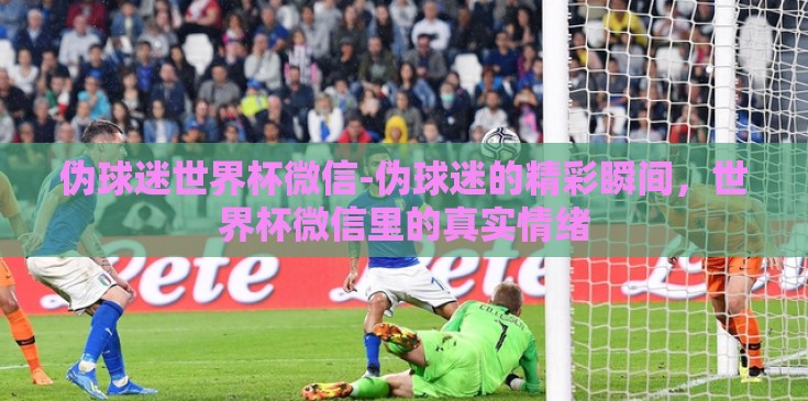伪球迷世界杯微信-伪球迷的精彩瞬间,世界杯微信里的真实情绪 伪球迷世界杯微信-伪球迷的精彩瞬间,世界杯微信里的真实情绪