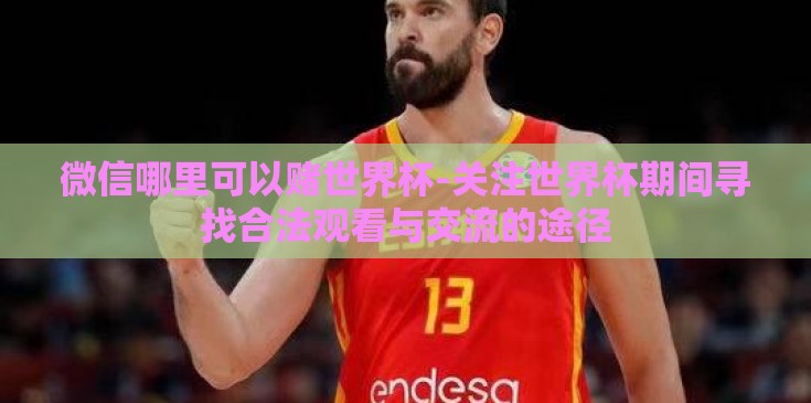 微信哪里可以赌世界杯-关注世界杯期间寻找合法观看与交流的途径