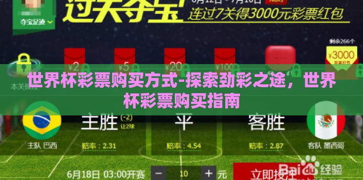 世界杯彩票购买方式-探索劲彩之途，世界杯彩票购买指南