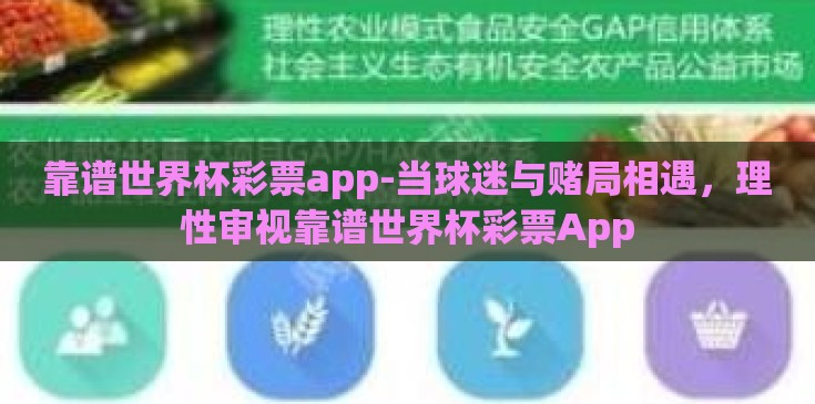 靠谱世界杯彩票app-当球迷与赌局相遇，理性审视靠谱世界杯彩票App