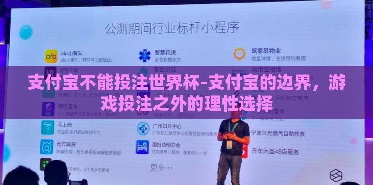 支付宝不能投注世界杯-支付宝的边界,游戏投注之外的理性选择 支付宝不能投注世界杯-支付宝的边界,游戏投注之外的理性选择