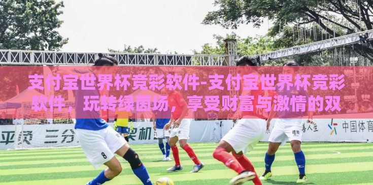 支付宝世界杯竞彩软件-支付宝世界杯竞彩软件，玩转绿茵场，享受财富与激情的双重盛宴
