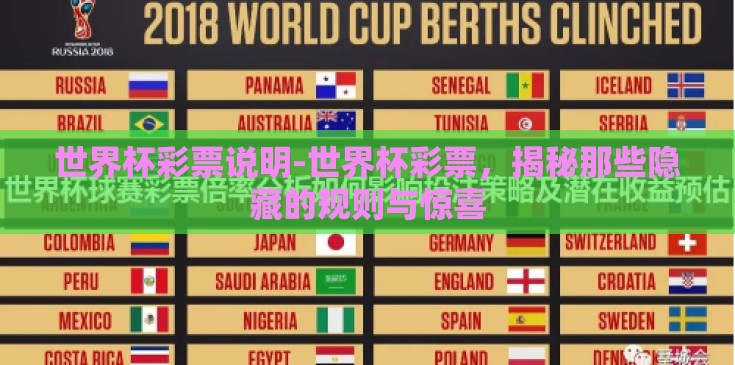 世界杯彩票说明-世界杯彩票，揭秘那些隐藏的规则与惊喜