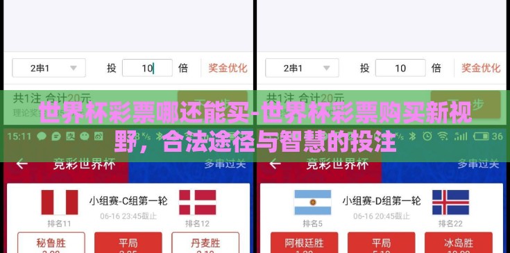 世界杯彩票哪还能买-世界杯彩票购买新视野,合法途径与智慧的投注 世界杯彩票哪还能买-世界杯彩票购买新视野,合法途径与智慧的投注