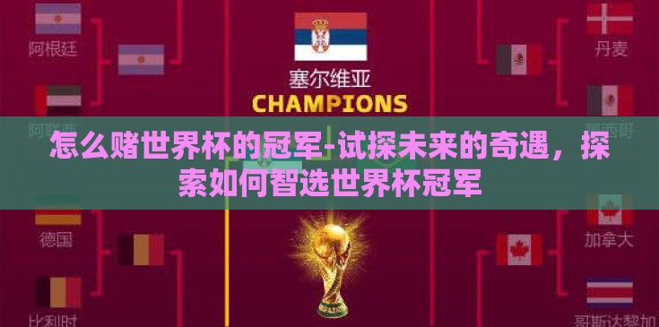怎么赌世界杯的冠军-试探未来的奇遇，探索如何智选世界杯冠军