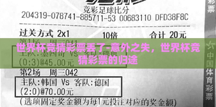 世界杯竞猜彩票丢了-意外之失,世界杯竞猜彩票的归途 世界杯竞猜彩票丢了-意外之失,世界杯竞猜彩票的归途