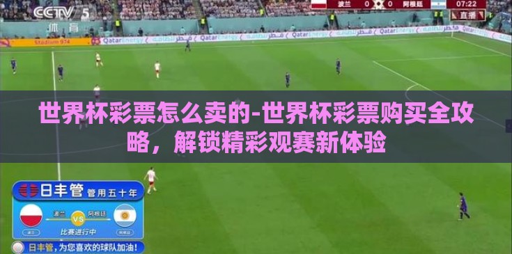 世界杯彩票怎么卖的-世界杯彩票购买全攻略，解锁精彩观赛新体验