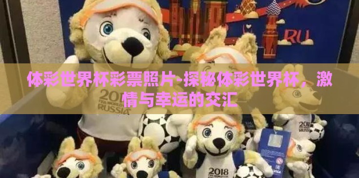 体彩世界杯彩票照片-探秘体彩世界杯，激情与幸运的交汇
