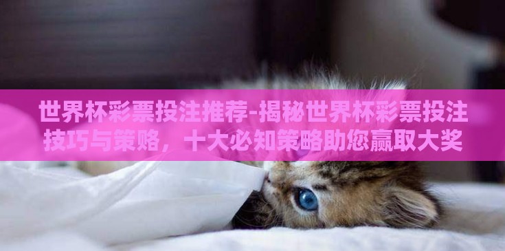 世界杯彩票投注推荐-揭秘世界杯彩票投注技巧与策赂，十大必知策略助您赢取大奖