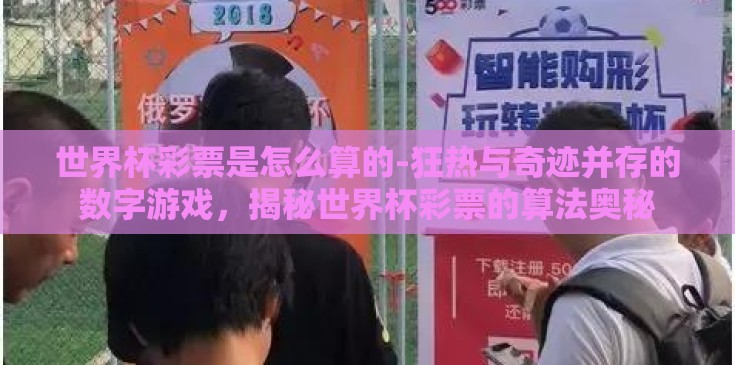 世界杯彩票是怎么算的-狂热与奇迹并存的数字游戏，揭秘世界杯彩票的算法奥秘
