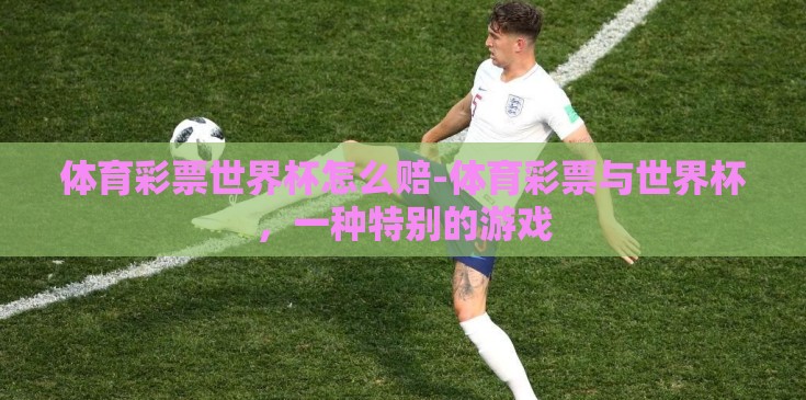 体育彩票世界杯怎么赔-体育彩票与世界杯，一种特别的游戏