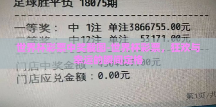 世界杯彩票中奖截图-世界杯彩票，狂欢与幸运的瞬间定格