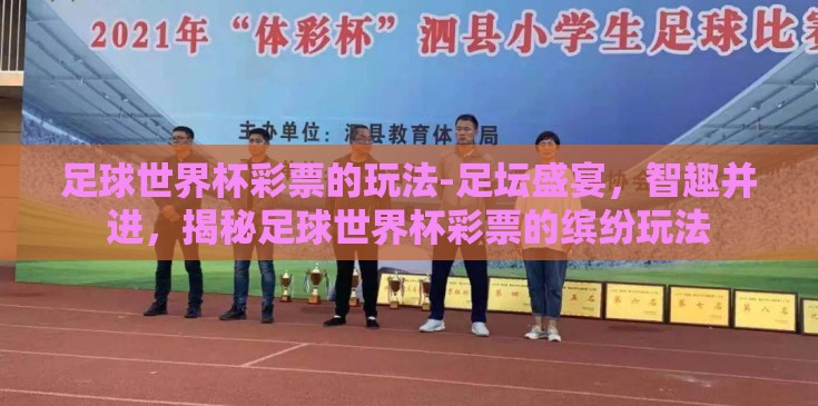 足球世界杯彩票的玩法-足坛盛宴，智趣并进，揭秘足球世界杯彩票的缤纷玩法