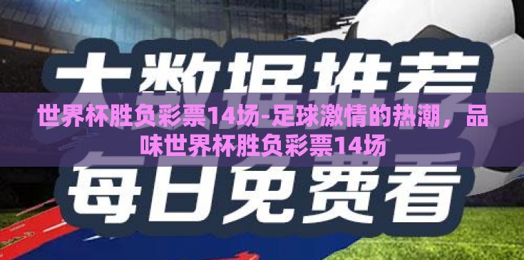 世界杯胜负彩票14场-足球激情的热潮，品味世界杯胜负彩票14场