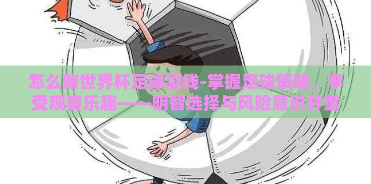 怎么赌世界杯足球赢钱-掌握足球策略，享受观赛乐趣——明智选择与风险意识并重