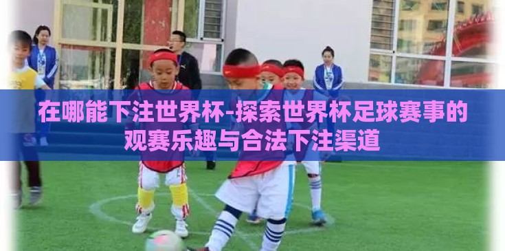 在哪能下注世界杯-探索世界杯足球赛事的观赛乐趣与合法下注渠道