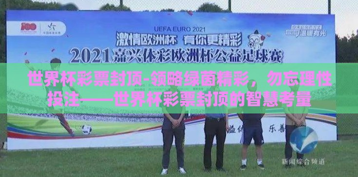 世界杯彩票封顶-领略绿茵精彩，勿忘理性投注——世界杯彩票封顶的智慧考量
