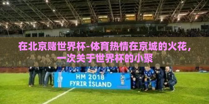 在北京赌世界杯-体育热情在京城的火花，一次关于世界杯的小聚