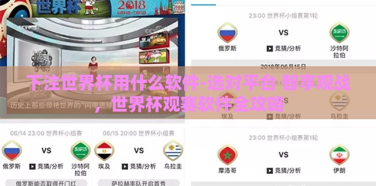 下注世界杯用什么软件-选对平台 智享观战，世界杯观赛软件全攻略