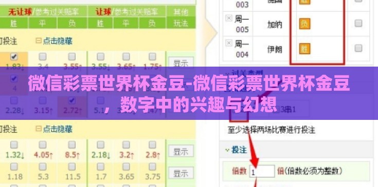 微信彩票世界杯金豆-微信彩票世界杯金豆，数字中的兴趣与幻想